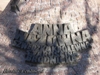 Fragment pomnika Anny Wazowny