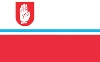 Flaga Brodnicy