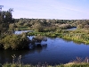 Rezerwat faunistyczny Rzeka Drwęca