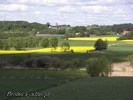 Pola i łąki w dolinie Rypienicy w Łapinożu  