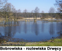 Bobrowiska - rozlewiska Drwęcy